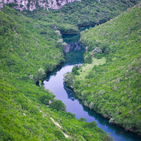 Let the river run