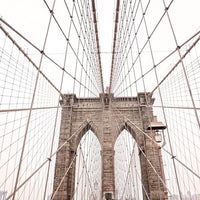 Lines and Arches