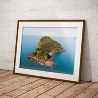 Lion Island Print
