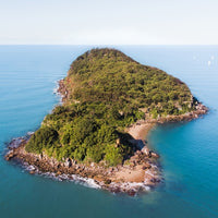 Lion Island Print