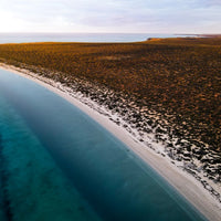Little Lagoon