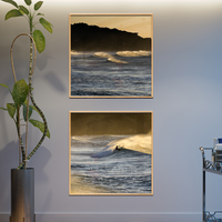 Lonely Surfer