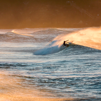 Lonely Surfer