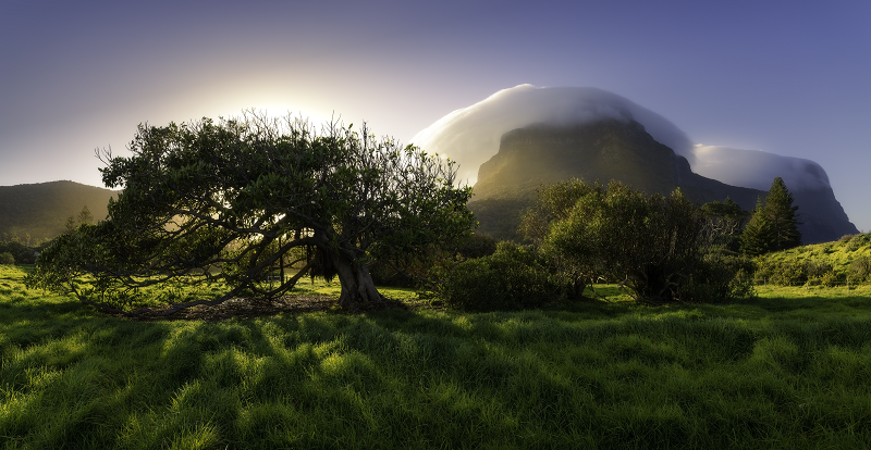 Lord Howe Island Paradise