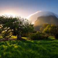 Lord Howe Island Paradise