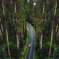 Lost