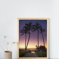 Palms