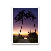 Palms