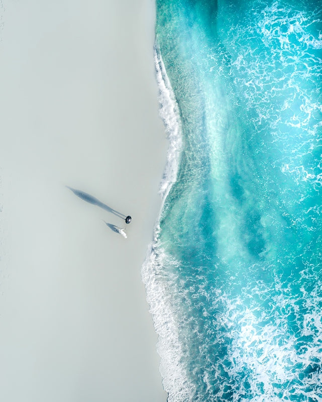 Man and His Best Friend