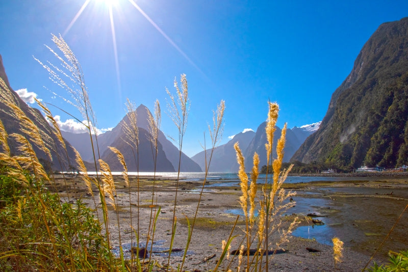 Milford Sound
