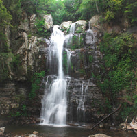 Minnamurra Falls