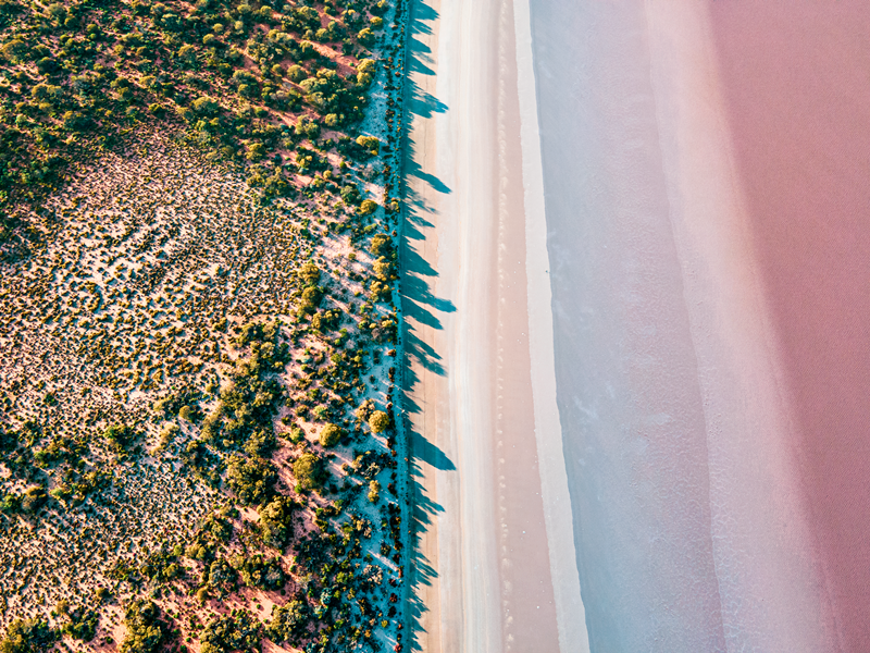 Mongers Lake Shoreline