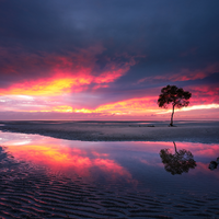 Moody Sunrise over Beachmere