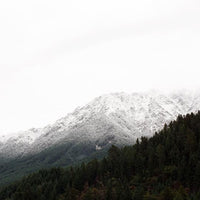 Misty Mountain