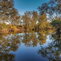 Murray-River