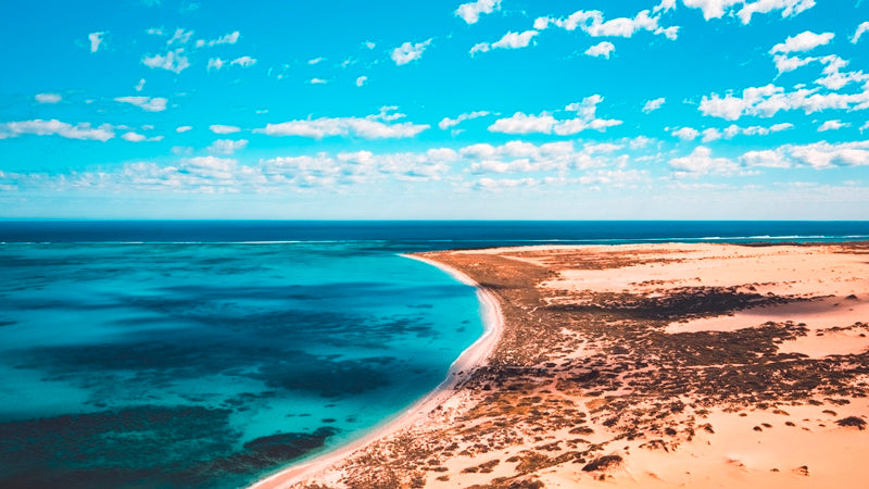 Ningaloo Station Landscape