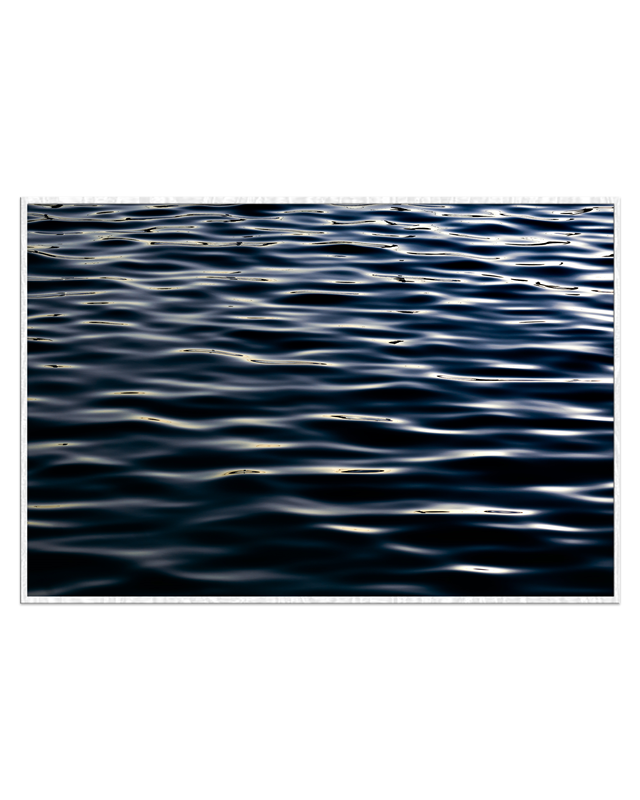 Ocean Veins
