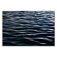Ocean Veins