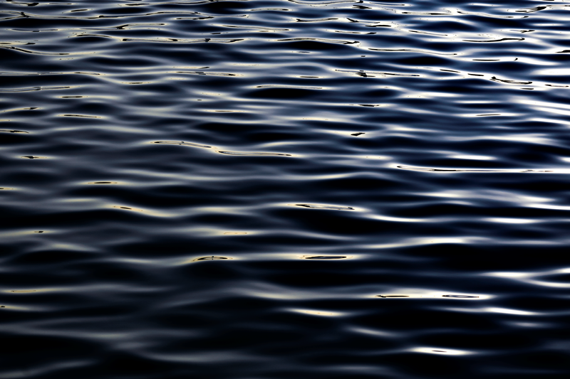 Ocean Veins