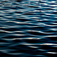 Ocean Veins
