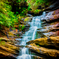Oxford Falls, NSW.