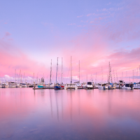 Pink Marina 01