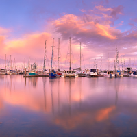 Pink Marina 02