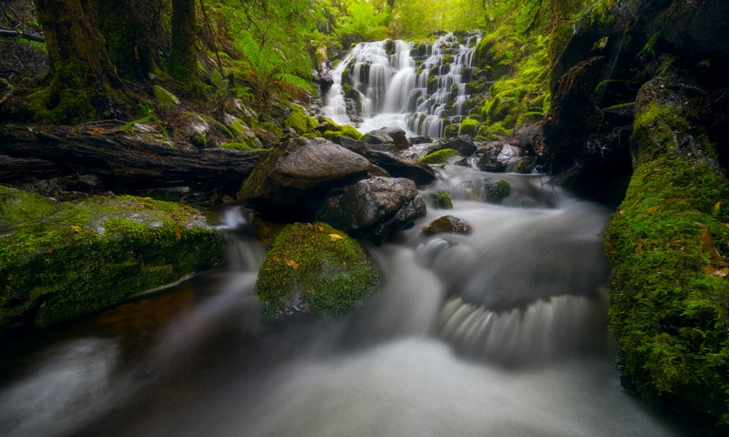 Quaile Falls Tasmania