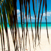 Tropical Bliss