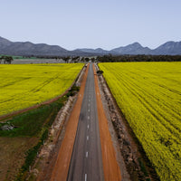 Road to the Ranges