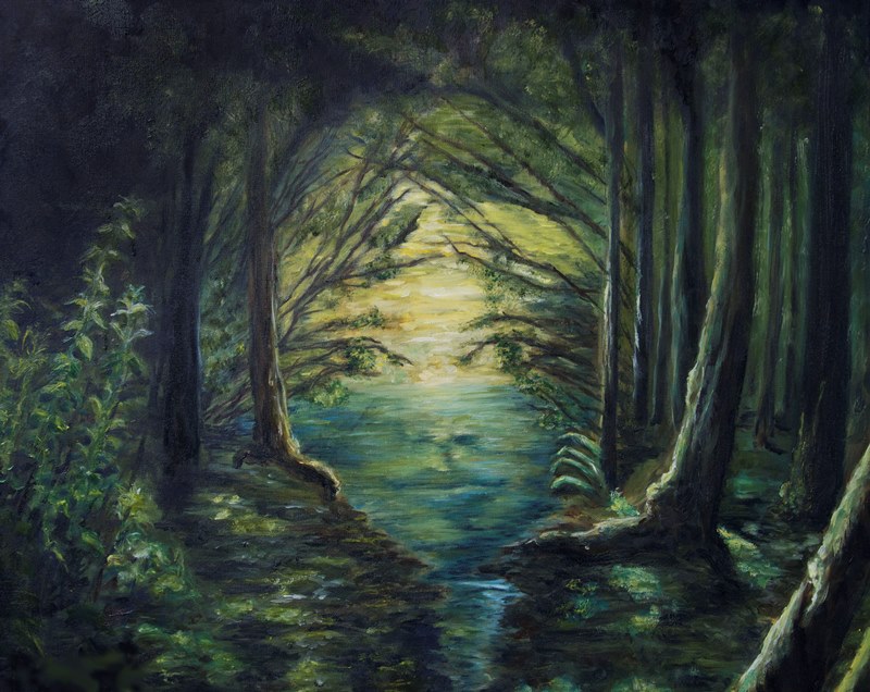 Secrets of The Forest
