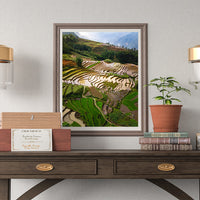 Sapa rice terraces in Vietnam