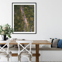 Scenic Route