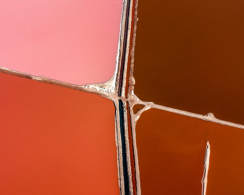 Shades of Pink