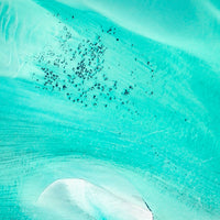 Shark Bay Aerial 2