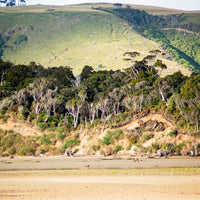 South Island 2