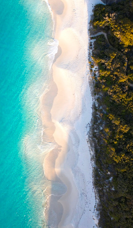 Southern Sight - Albany