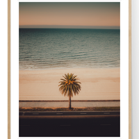 St Kilda Streets 2