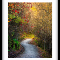 Arrowtown