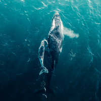 Sticking Together
