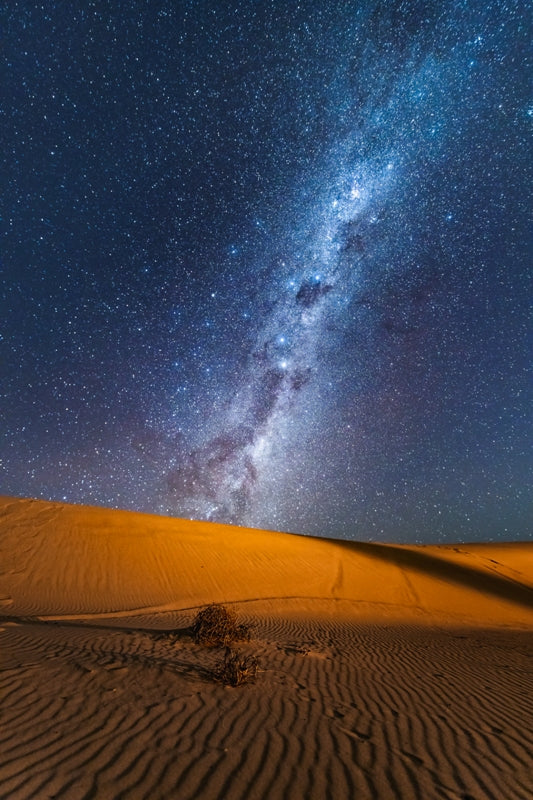Stockton Dunes emu tail - Astro
