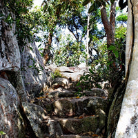 Stone Steps