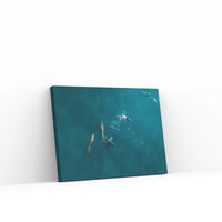 Stradie Dolphins