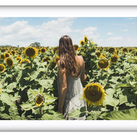 Sunflower Dream | New South Wales