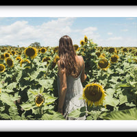 Sunflower Dream | New South Wales