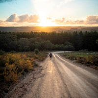 Sunset Trekking