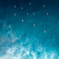 Surf Meet