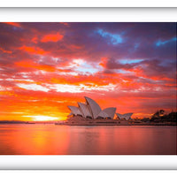 Sydney Harbour Sunset