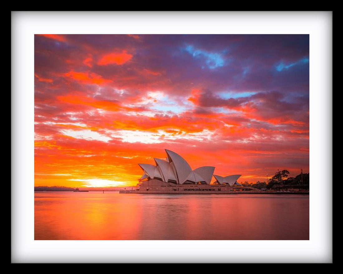 Sydney Harbour Sunset