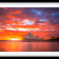 Sydney Harbour Sunset